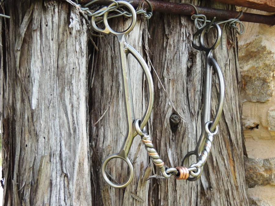 Magnum Twisted Wire Dog Bone